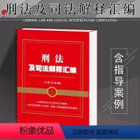 [正版]法律书籍刑法一本通及刑法典司法解释汇编案例指导汇编刑法修正案十一全新刑法及相关司法解释刑事案件危害公共安全罪法