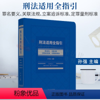 [正版] 2021新刑法适用全指引/罪名要义/关联法规/立案追诉标准/定罪量刑标准 司法实务法学教研专业学习工具书中国