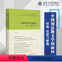 [正版]2022新书 中国刑法教义学的面向 经验 反思与建构 王莹 著 北京大学出版社 9787301330333