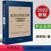 [正版]2022新 危害公共安全罪立案追诉标准与疑难指导 缪树权 著 刑法罪名犯罪构成案件办案依据刑事实务立案追诉标准