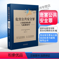 [正版]2022新书 危害公共安全罪 立案追诉标准与疑难指导 缪树权 刑法罪名犯罪构成案件办案依据刑事实务 刑事办案执