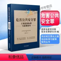 [正版]2022新书 危害公共安全罪 立案追诉标准与疑难指导 缪树权 刑法罪名犯罪构成案件办案依据刑事实务 刑事办案执