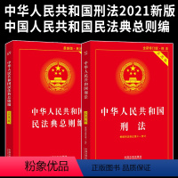 [正版]2021年新版修正案 中华人民共和国刑法十一 +民法典总则编实用版 民法总则法律法规基础知识法律法规法条一本通