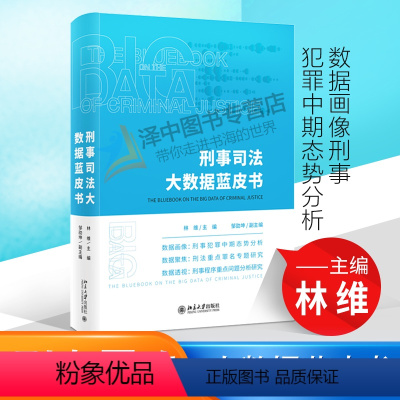 [正版]2020新 刑事司法大数据蓝皮书 林维 著 刑法 数据画像刑事犯罪中期态势分析 数据聚焦刑法重点罪名专题研究