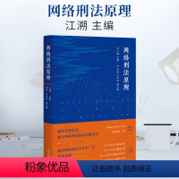 [正版]2022新书 网络刑法原理 江溯 网络刑法体系教科书 陈兴良 梁根林 陈国庆 周加海专业 法律规范和司法判例