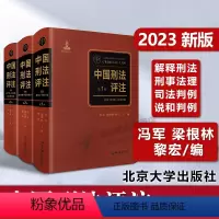 [正版]北大 中国刑法评注 全三卷 冯军 梁根林 黎宏 刑法学说和判例 解释刑法 刑事法理 司法判例 北京大学出版社