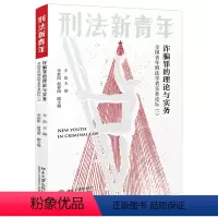 [正版]直发 罪的理论与实务:全国青年刑法学者实务论坛 车浩 著 北京大学出版社