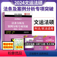 专项突破(刑法、民法) [正版]文运法硕2024法硕联考法条分析及案例分析专项突破刑法民法戴寰宇孙自律硕士高教版法硕