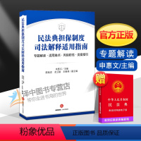 [正版]2021新 民法典担保制度司法解释适用指南 专题解读 适用难点 风险防范 类案指引 担保法律风险防范