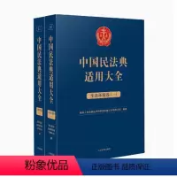 [正版]2023新书 中国民法典适用大全 涉外商事海事卷 全2册 扩展卷法规汇编关联规定条文释义指导案例类案检索法律实