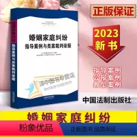 [正版]2023新书 婚姻家庭纠纷指导案例与类案裁判依据 人民法院民商事指导案例与类案裁判依据 中国法制出版社9787