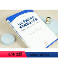 [正版]出版社直发 民法典担保制度司法解释适用指南 专题解读 适用难点 风险防范 类案指引 申惠文