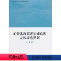 [正版]加勒比海旅游基础设施发展战略规划