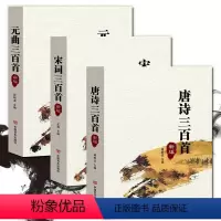 [正版]全三册 新编唐诗三百首 宋词三百首 元曲三百首 全集 带注释译文解析 中国古诗词鉴赏辞典大全