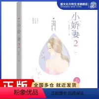 [正版]小娇妻 2 洛心辰 著 青春小说 文学 江苏凤凰文艺出版社 图书