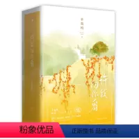 [正版]书籍 许我向你看 插图纪念版 辛夷坞新版小说全新番外青春女性情感成功励志文学