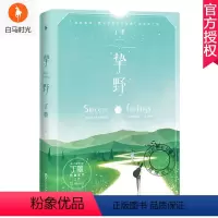 [正版]邮 挚野 丁墨 悬爱作家丁墨的书推理小说全套入围2018年度中国好书 你和我的倾城时光之后丁墨的小说丁墨作品青