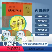 美术[人教版] 七年级下 [正版]2024适用 初中美术教师教学用书7七年级下册人教版 初一七年级下册生美术教参教学参考