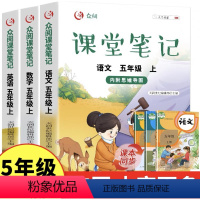 5上 课堂笔记语文+数学+英语 小学五年级 [正版]贝比贝尔小学五年级解分数简易一元一次方程式计算题专项训练上上册下下