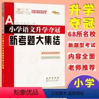 [正版]小升初小学语文升学夺冠新考题大集结 全国68所教师小升初毕业语文小考辅导新考题经典题型小升初总复习中小学辅导训