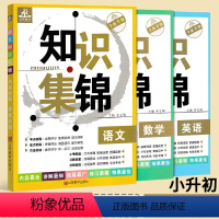 [正版]小升初知识大集结全新升级版小学语文升学夺冠数学英语总复习资料小学毕业升学总复习专项训练五六年级上下册知识大全知