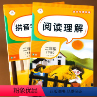 [正版]看拼音写词语生字注音 二年级下册 2年级专项阅读理解课堂 语文书同步训练题 练字学拼音 笔画偏旁 二年级下册语