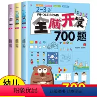 [全三册]2-3岁全脑开发700题 [正版]全脑开发700题1000题2-3岁早教书幼儿智力开发幼儿园数学小班思维训练逻