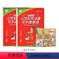 三年级上下册语文字帖 [正版]楷书字帖练字小学生三年级上册下册语文同步练字帖人教版小学儿童初学者入门钢笔硬笔书法临摹写字