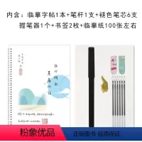 陈书凝字帖[临摹款] [正版]陈书凝字帖行楷女生字体漂亮练字帖练习成人成年大学生凹槽反复使用钢笔临摹练字本写字帖高中生硬