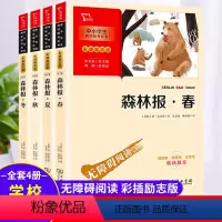 默认规格 [正版]森林报春夏秋冬全套全4册必读名著彩插励志版无障碍阅读故事绘本四年级下册必读三四五小学生阅读书籍3-4-