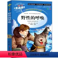 野性的呼唤 中文版 [正版]野性的呼唤 荒野的呼唤 雪狼 课外书杰克伦敦美国书籍中文版小学生六年级五年级四年级三年级阅读