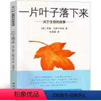 [正版]一片叶子落下来绘本原版四年级小学生儿童读物6-7-8-10-12岁课外书4年级少儿书籍利奥·巴斯