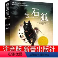 石狐 [正版]石狐 注音版约翰书新蕾出版社国际大奖儿童文学小说系列书籍拼音版全套小学生一年级二年级三年级课外书雷诺兹&m