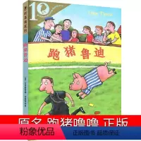 跑猪鲁迪 [正版]跑猪鲁迪二十一世纪出版社二年级三年级课外书乌韦 蒂姆著原名跑猪噜噜 跑猪噜迪小学生书籍儿童动物6-7-
