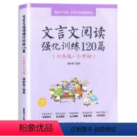 语文 小学六年级 [正版]小学语文文言文阅读强化训练120篇六年级小升初 6年级文言文阅读理解专项训练书小古文古诗文练习