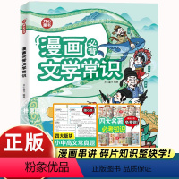 漫画必背文学常识 [正版]开心教育2024新版小学生必背文学常识大全漫画版思维导图初中高中必背文学文化常识语文基础知识手