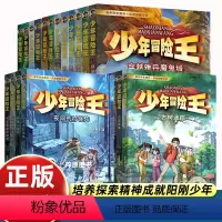 少年冒险王(1-5季 共20册) [正版]少年冒险王全套20册第 1-5季丛林戈壁古迹动物探案篇小学生课外阅读书籍7-1
