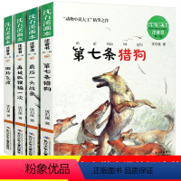 [正版]全套沈石溪动物小说全集4册第七条猎狗后一头战象斑羚飞渡再被狐狸骗一次注音版经典名著一二年级读小学生课外书带拼音