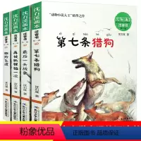 [正版]全套沈石溪动物小说全集4册第七条猎狗后一头战象斑羚飞渡再被狐狸骗一次注音版经典名著一二年级读小学生课外书带拼音