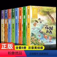[8册注音美绘版]金波四季童话+四季美文 [正版]全8册 花瓣儿鱼金波 四季童话四季美文注音美绘版故事书作品精选铜铃小丁