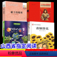 [正版]山西清北阅读全套4册青铜葵花曹文轩原著 帽子的秘密 雷锋的故事 三年级四年级阅读课外书读人教版9-12岁地球的