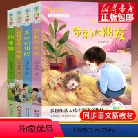 [全套4册] [正版]学校力荐带刺的朋友三年级课外书必读经典书目全套4册宗介华童年四季语文小学生课外阅读书籍儿童读物暑假