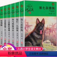 [正版]后一头战象第七条猎狗猎犬狼狗猪狗 全套6册沈石溪动物小说系列 保姆莽三四五六年级阅读课外书必读的书籍6-12岁