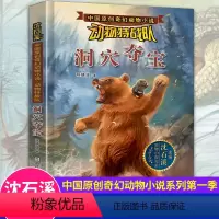 [正版]动物特战队 洞穴夺宝 沈石溪动物小说全集小学生课外阅读书籍三四五六年级课外书必读10-15岁儿童读物奇幻动物故
