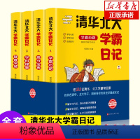 [全4册]清华北大学霸日记 [正版]清华北大学霸日记全4册 状元学习法学霸笔记如何中考高考学习窍门数学语文考试记忆方法小