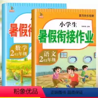 二升三暑假衔接语文数学[全2册] 二年级下 [正版]二年级下册暑假作业人教版语文数学二升三暑假衔接练习题暑假二升三年级小