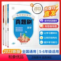 [3册]53小升初真题刷 语文+数学+英语 小学升初中 [正版]2023版53小升初总复习真题刷小学升初中六年级下册语文