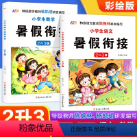 [暑假衔接]二升三语文+数学 二年级下 [正版]二升三暑假衔接人教版2023年二年级下册语文数学暑假作业升三年级练习册全