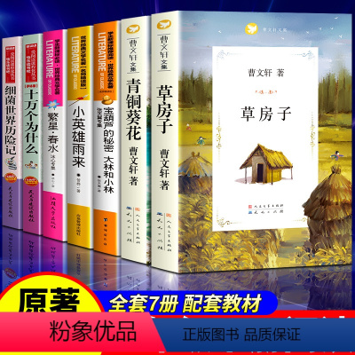 [全套7册]四年级课外阅读书籍 [正版] 青铜葵花 曹文轩原著完整版 人民文学出版社天天出版社四年级下册全套阅读课外书目