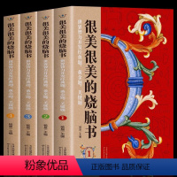 [全4册]很美很美的烧脑书 [正版]很美很美的烧脑书全4册 世界智力开发经典题 黄金题关键题1-4 小学生益智思维训练书